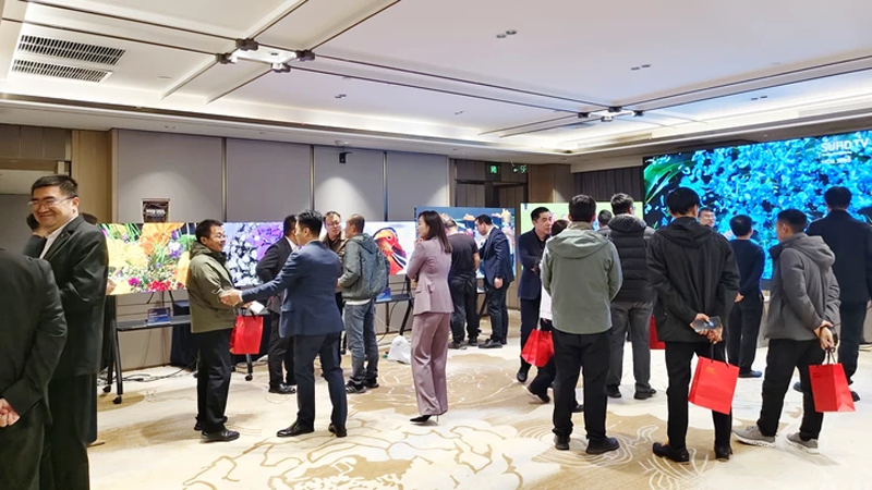 6916e31a25043.png 14.png