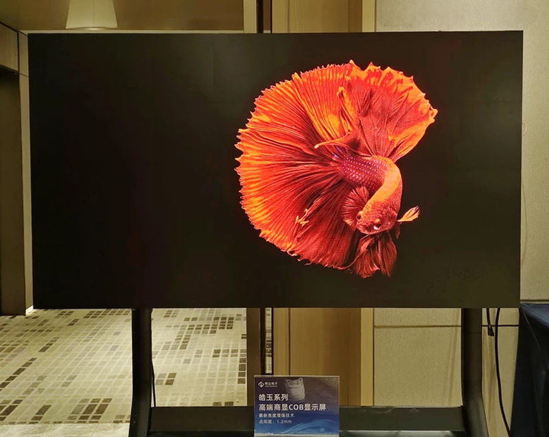 6916e3571fecc.png 9.png